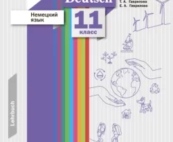 Немецкий язык. 11 класс. Базовый и углублённый уровни читать онлайн