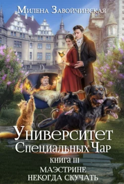 Университет Специальных Чар. Книга 3. Маэстрине некогда скучать читать онлайн